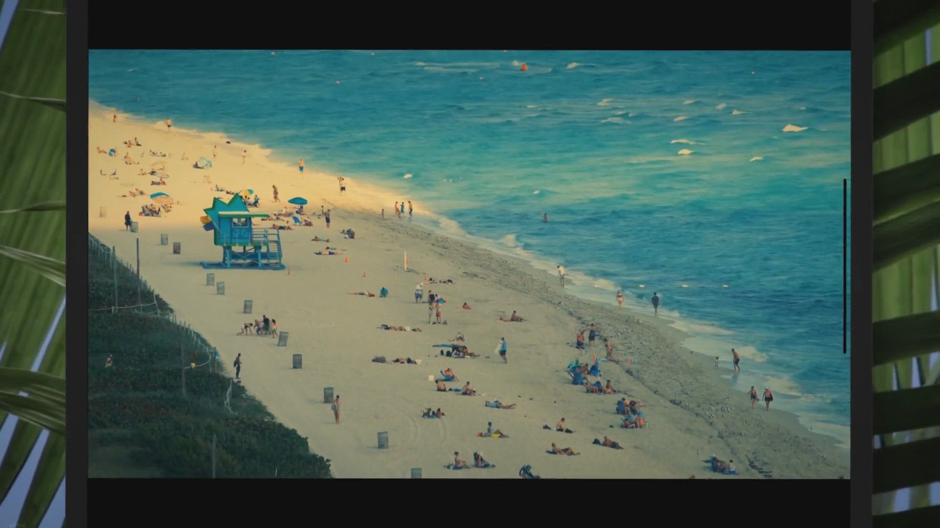 Video thumbnail for Miami Magic: A Family Adventure in the Sunshine State