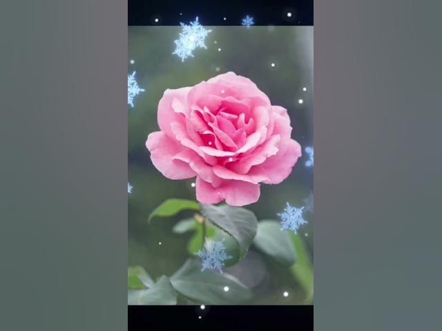 Video thumbnail for Creations