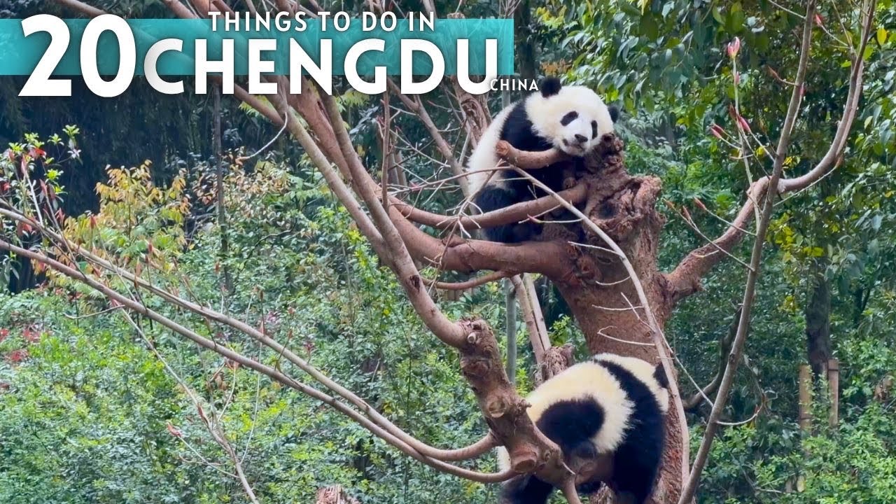 Video thumbnail for Best Things To Do in Chengdu China Travel Guide 2026 4K