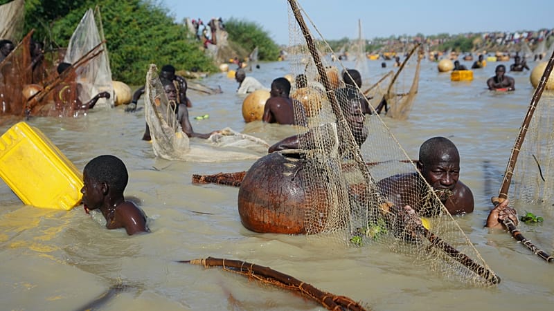 Video thumbnail for Nigeria's Argungu fishing festival returns after six-year hiatus