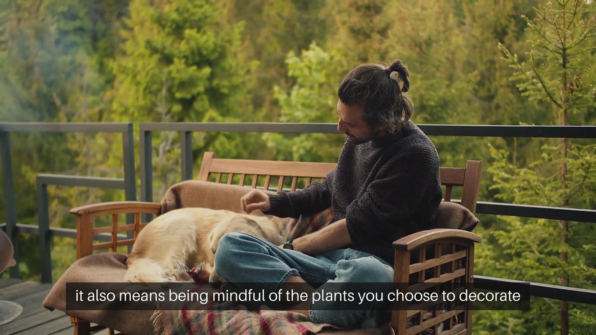 Video thumbnail for Safe Plants for Pet-Friendly Homes