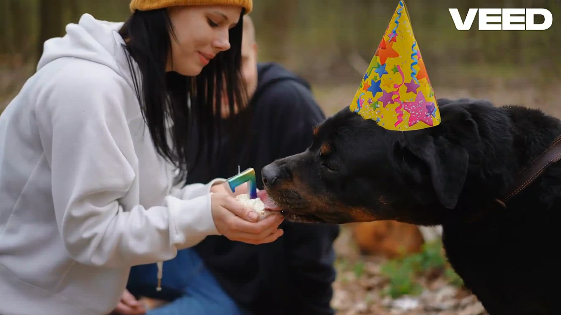 Video thumbnail for Transform Your Dog's Diet Fresh Dog Food Delivery Today!