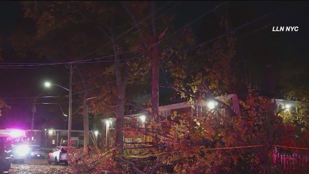 'Video thumbnail for Tri-State area winds cause damage in NYC, NJ'