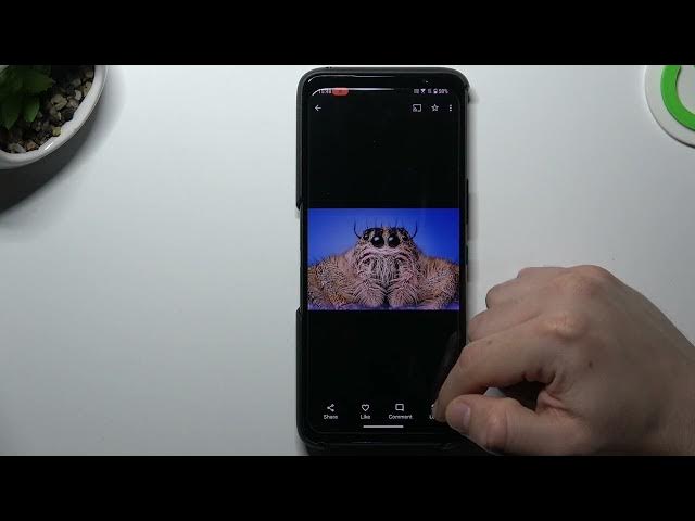 Video thumbnail for How To Perform Reverse Image Search On Asus Rog Phone 6D | Google Image Search