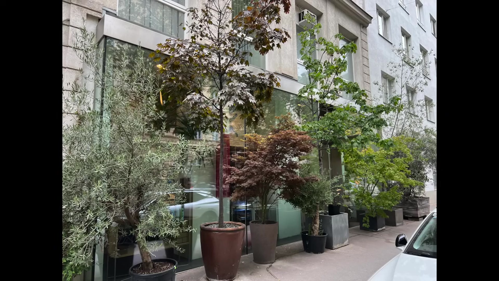 Video thumbnail for 20 Great Perennials to Grow in Containers