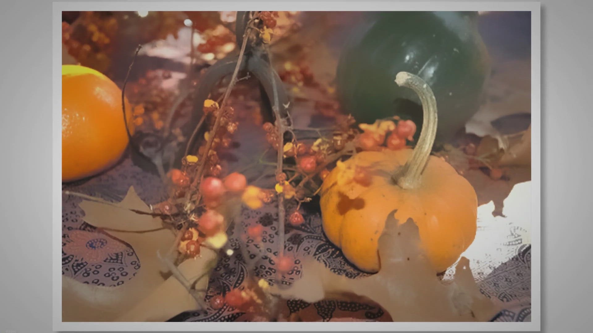 'Video thumbnail for Thanksgiving: A Feast of Fun Facts for Kids'