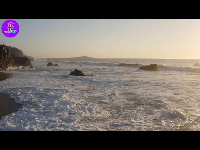 Video thumbnail for 𝐁𝐞𝐚𝐜𝐡 𝐒𝐡𝐨𝐫𝐭 𝐕𝐢𝐝𝐞𝐨 |