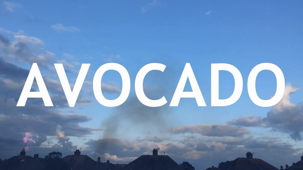 Video thumbnail for Growing an Avocado Tree from Seed, Indoors. Part 1