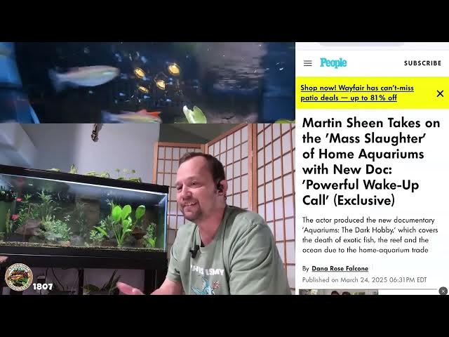 Video thumbnail for Are Aquariums Ethical? My Thoughts on "The Dark Hobby."