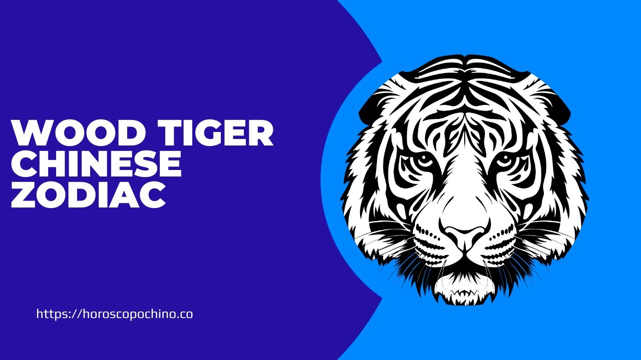 'Video thumbnail for Wood Tiger Chinese Zodiac :video blog'