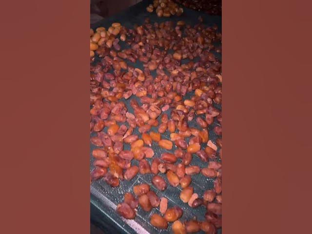 Video thumbnail for যেভাবে খেজুর শুকিয়ে প্রস্তুত করা হয়। #world