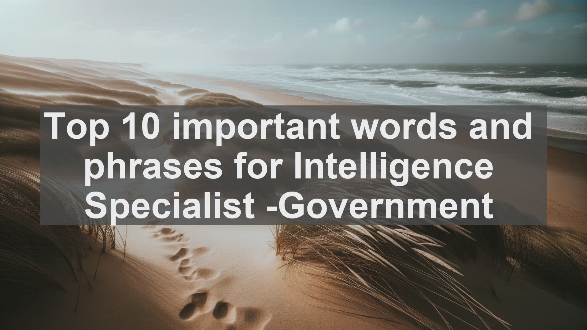 'Video thumbnail for Top 10 important words and phrases for Intelligence Specialist Government'