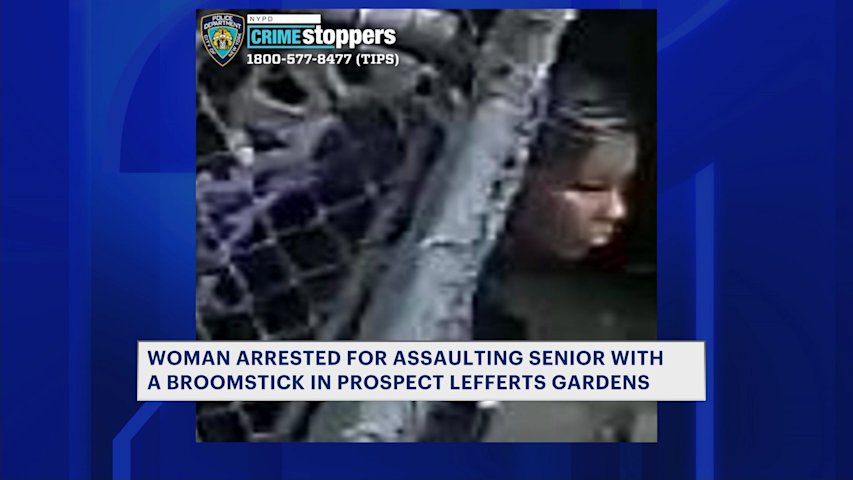 Video thumbnail for Woman arrested, accused of assaulting 98-year-old in Prospect Lefferts Gardens