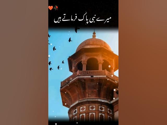 Video thumbnail for Islamic Whatsapp status #shorts #islam #trending #viralvideo #foryou