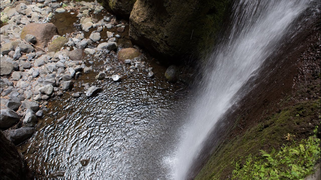 'Video thumbnail for Wanderung an der Levada do Moinho | Madeira'