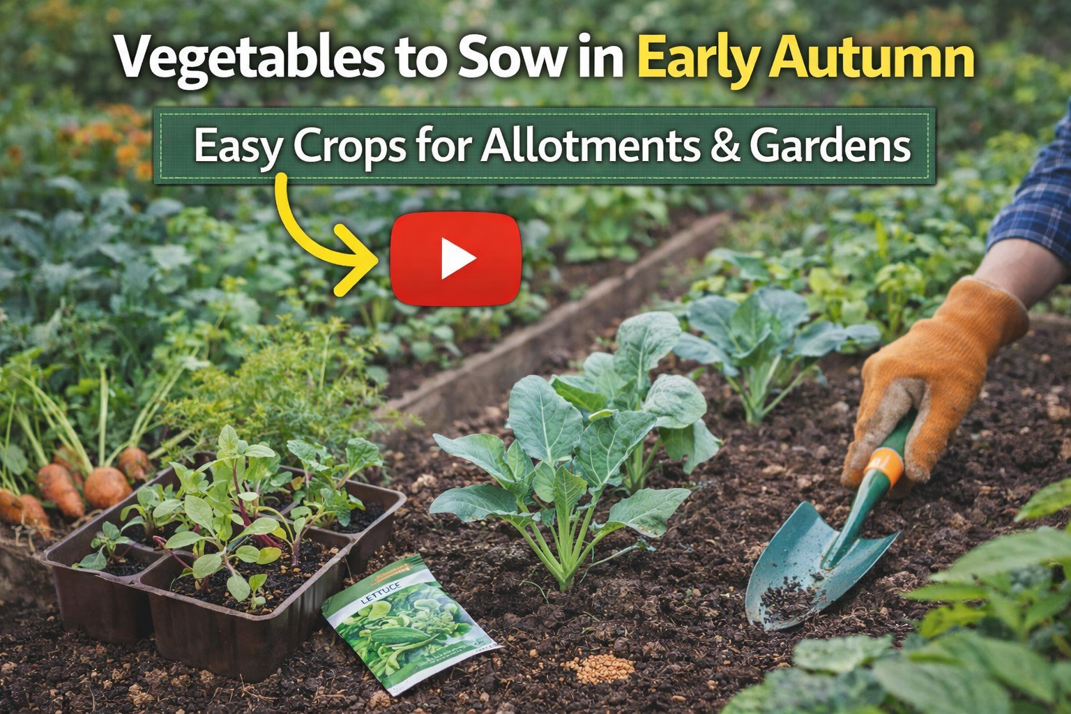 Video thumbnail for Vegetables to Sow in Early Autumn | Easy Crops for Allotments & Gardens