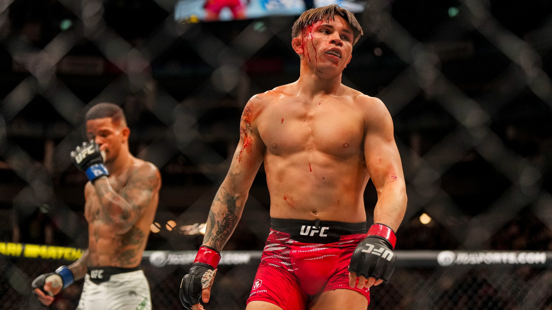 Video thumbnail for Kavanagh vs. Temirov Fight Preview: Odds, Picks and KO Prediction