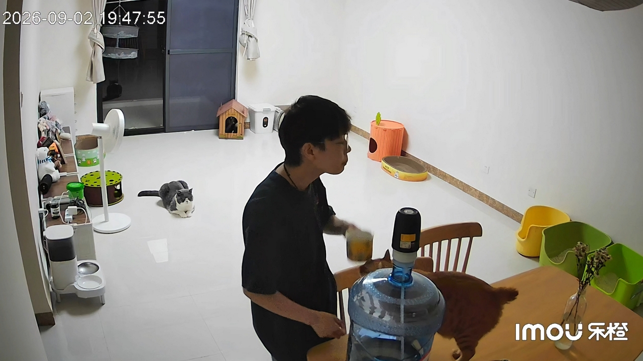 Video thumbnail for Man accidentally taps cat's head with cup in Guangxi