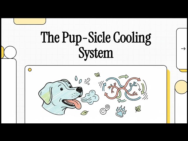 Video thumbnail for How Do Dogs Sweat?