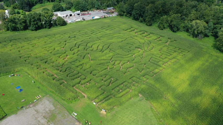 Video thumbnail for Dolly Parton corn maze in Brookfield to open with extra meaning after icon's death