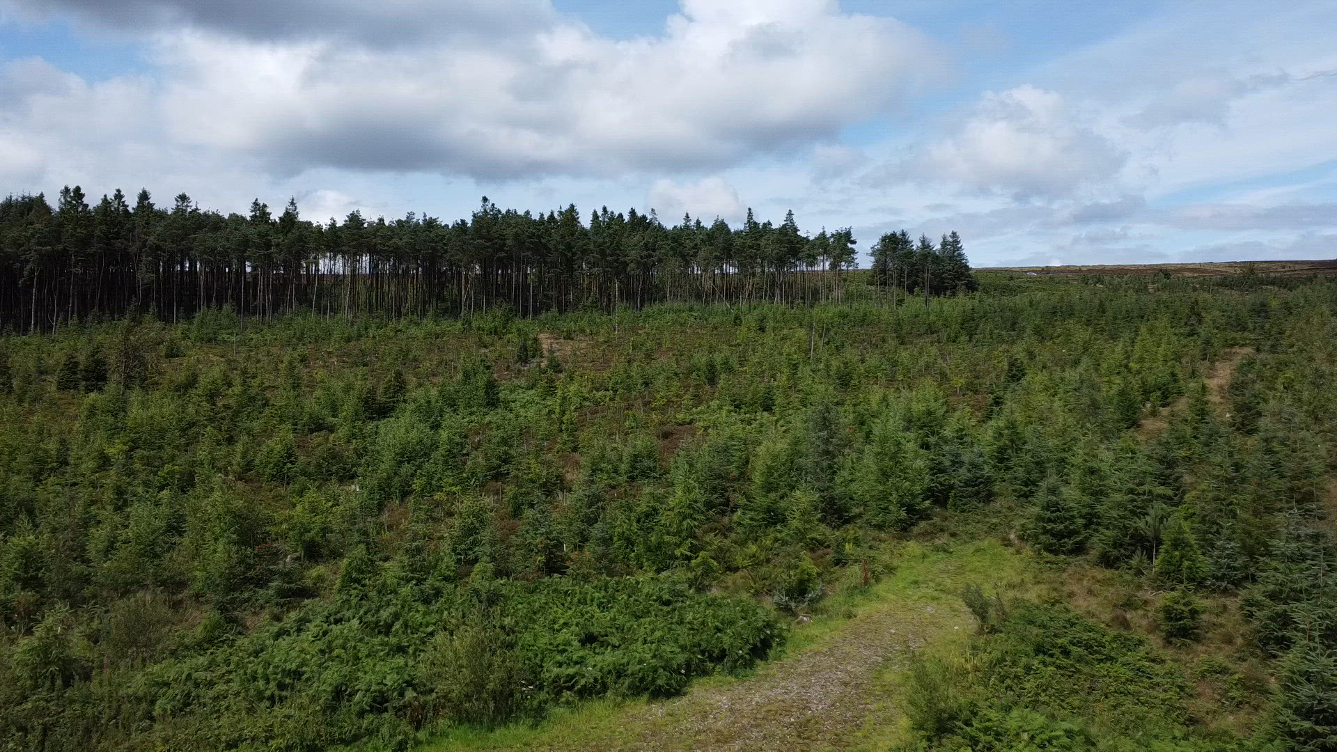 Video thumbnail for DJI Mini 2 SE Test Flight