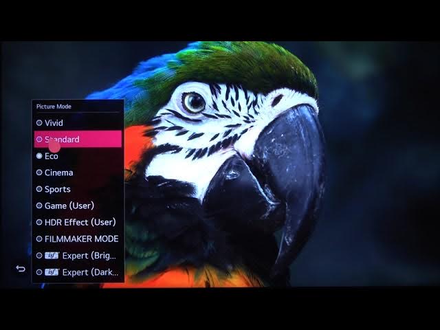 Video thumbnail for LG NanoCell TV Screen Test - All Picture Modes | LG 4K LED Smart TV (49NANO867NA)