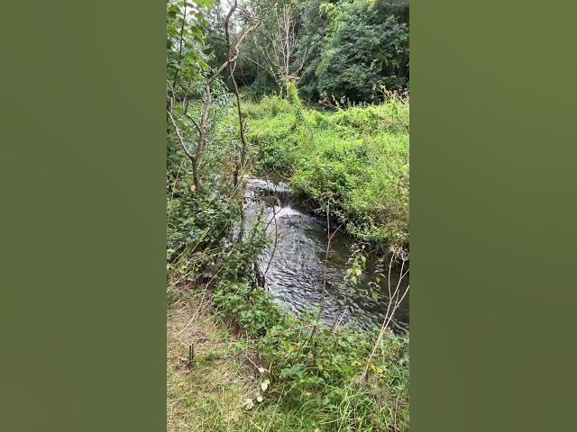 Video thumbnail for Love nature