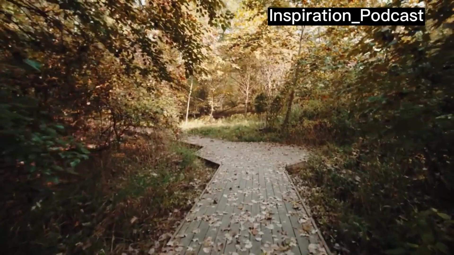 'Video thumbnail for 8 Types Of Friends We All Need | Inspiration Podcast'