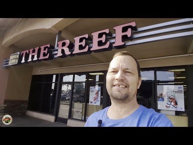 Video thumbnail for Inside Reef Tropical Fish: A Local Fish Store Tour in Anaheim, CA