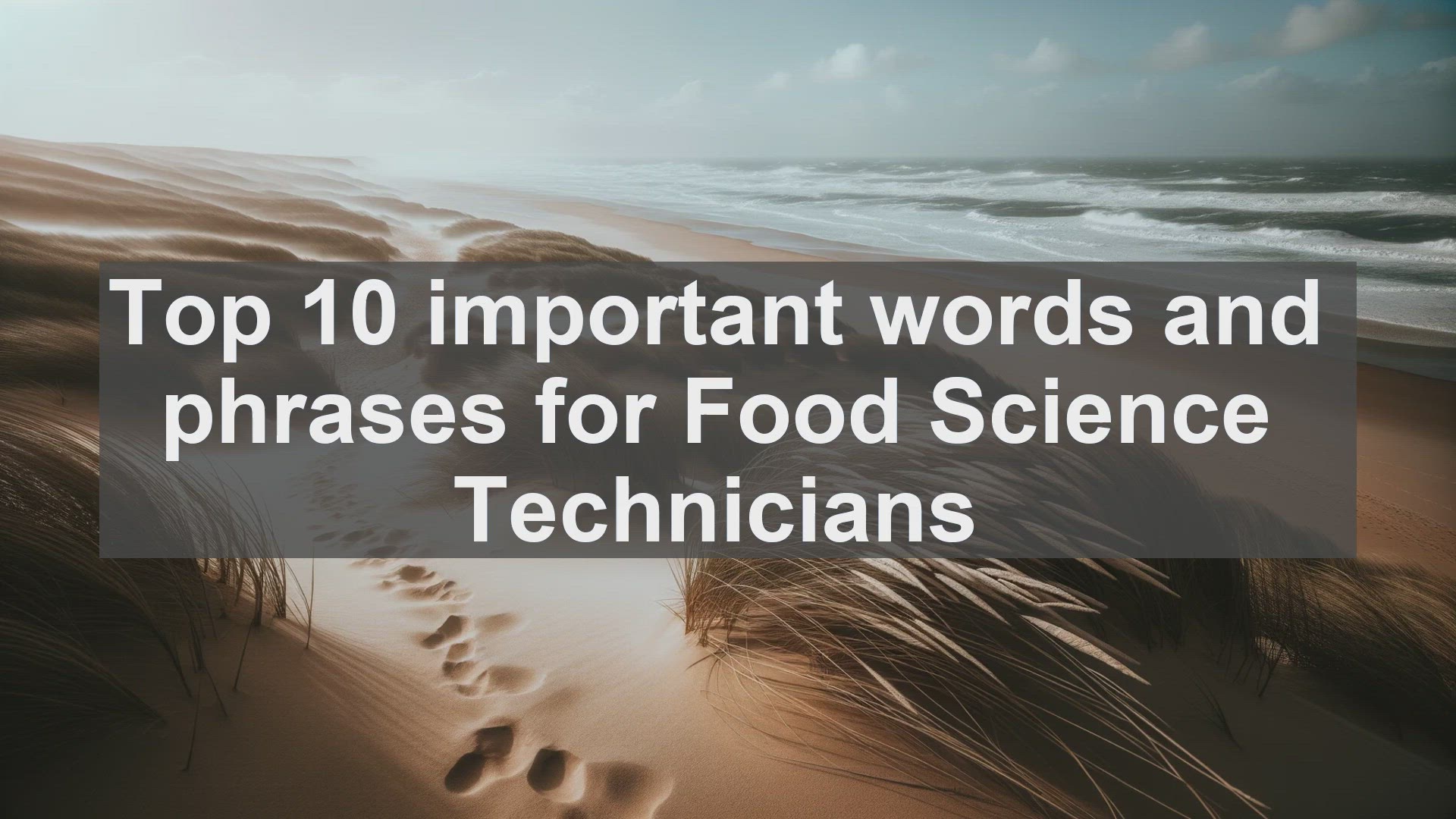 'Video thumbnail for Top 10 important words and phrases for Food Science Technicians'