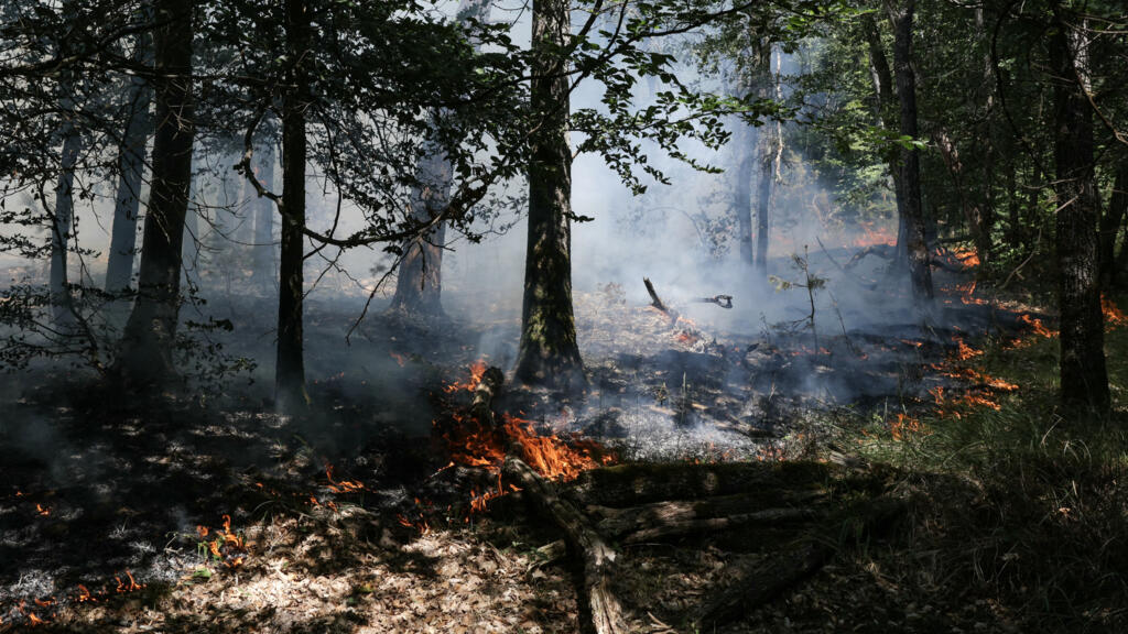 Video thumbnail for Fontainebleau fire has decimated 5% of the forest, authorities say