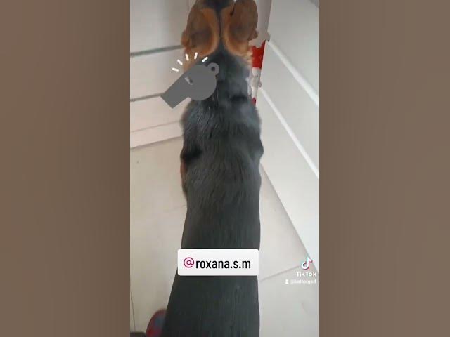 Video thumbnail for 26 mai 2024