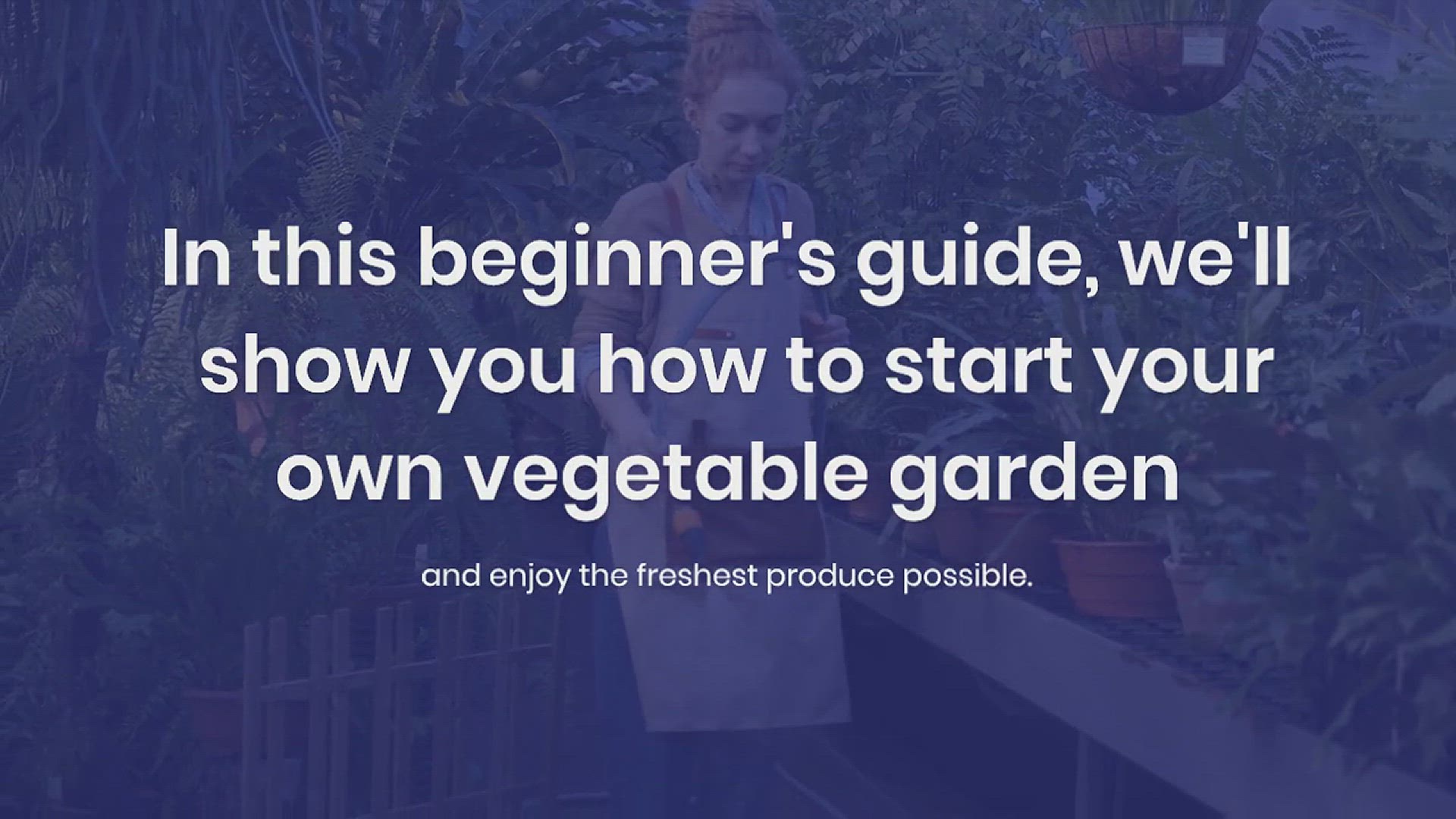 'Video thumbnail for How to Grow Your Own Vegetables in the Garden'