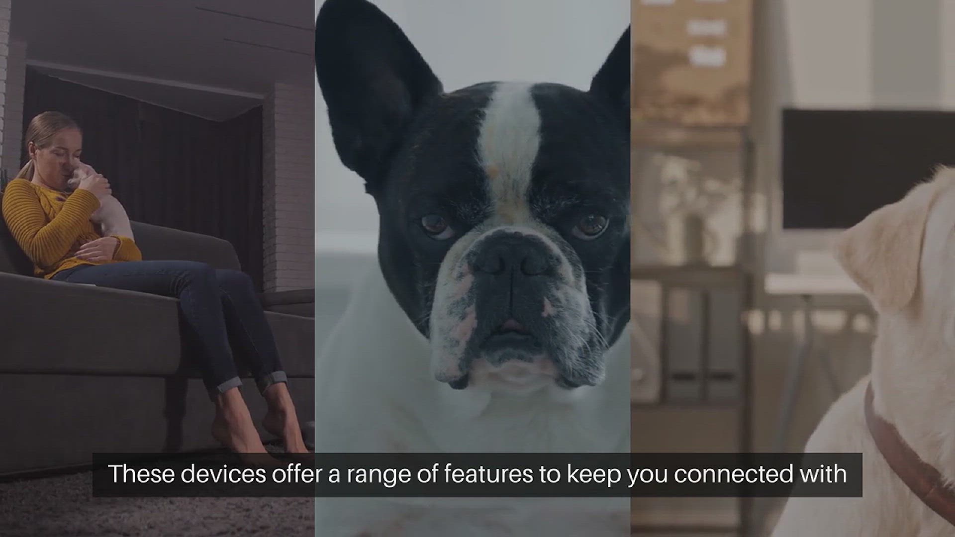 Video thumbnail for Pet Monitoring Devices