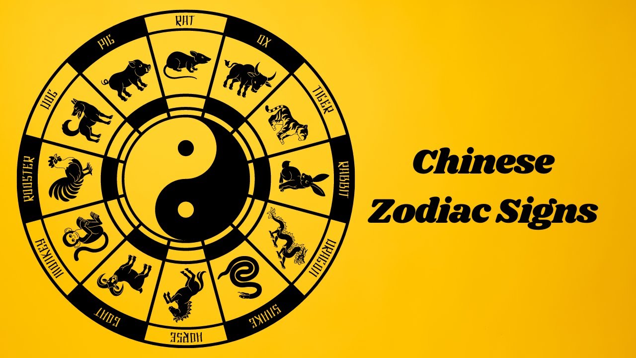 'Video thumbnail for Chinese Zodiac Signs: video blog'
