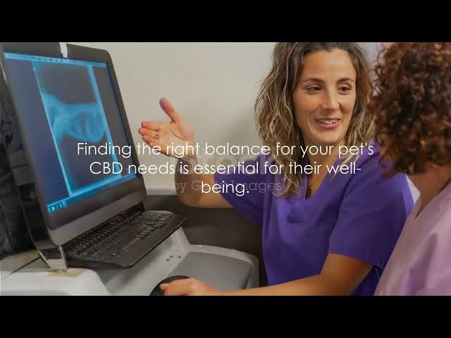 Video thumbnail for What is CBD for Pets? A Comprehensive Guide