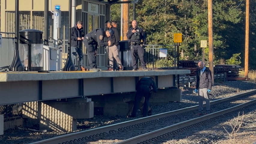 Video thumbnail for Sources: 1 person shot boarding LIRR train in Bellport, MTA police still searching for suspects
