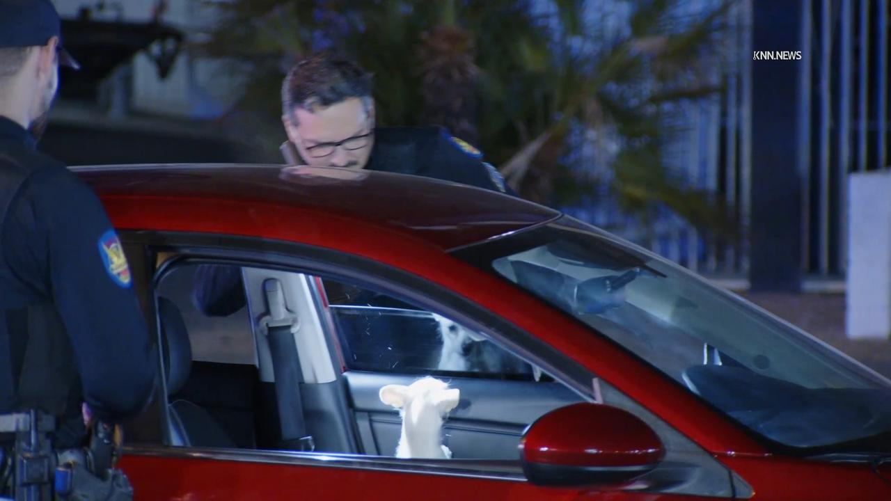 Video thumbnail for US, Phoenix: Phoenix Suspect In Custody After Stolen Vehicle Recovery.