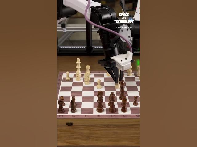 Video thumbnail for Perceptron’s New Open-Source AI Model Makes Robots Smarter
