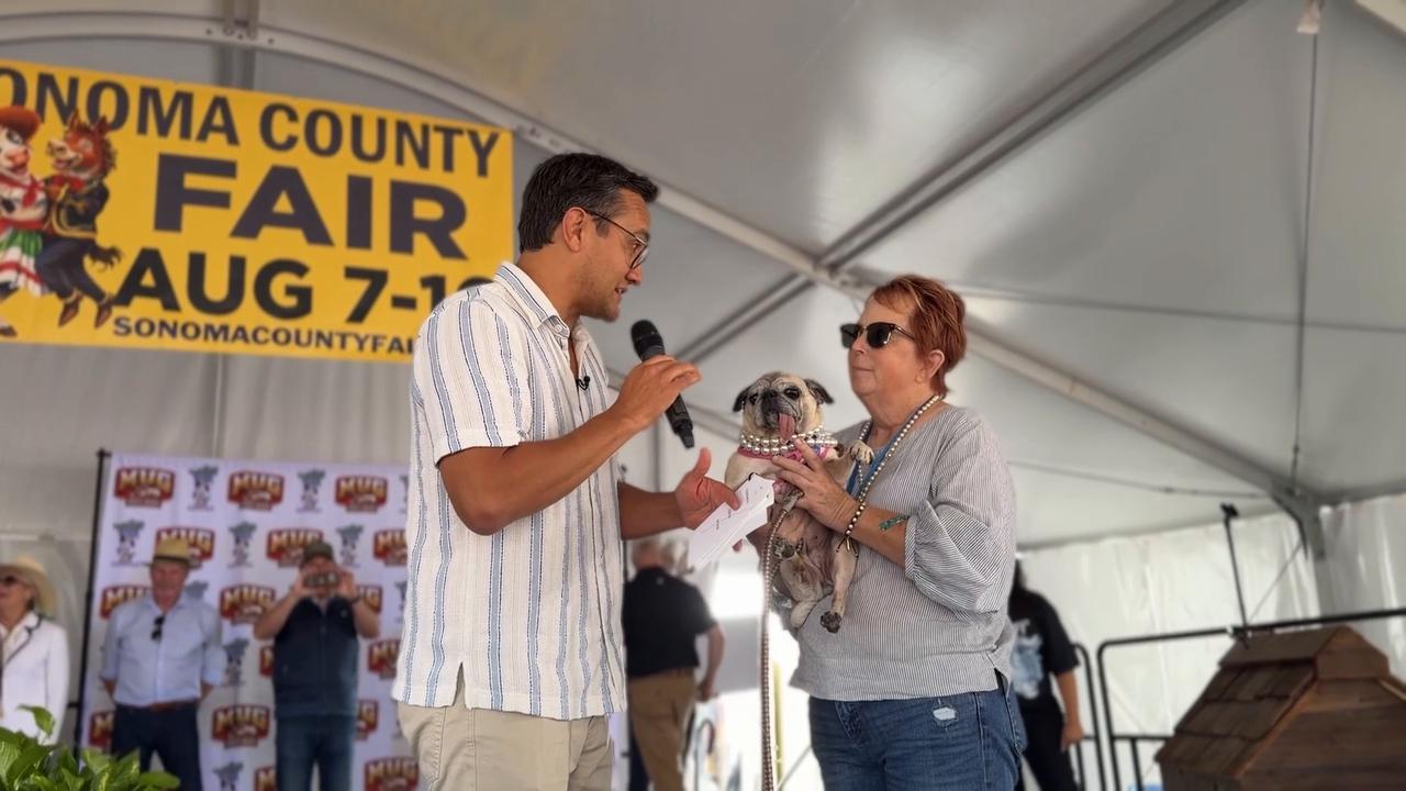 Video thumbnail for US: World's Ugliest Dog contest crowns 2026 winner in California.