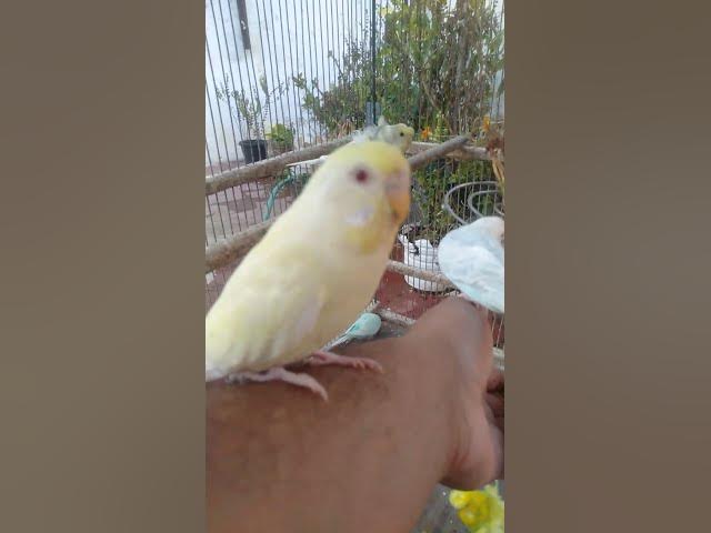 Video thumbnail for 🌌 “Durma agora com este som    e continue 4h de relaxamento total 💤”