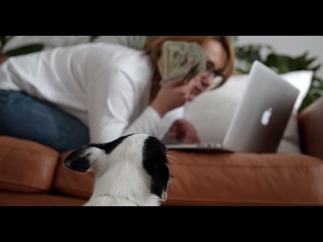 'Video thumbnail for earn money templets 22'