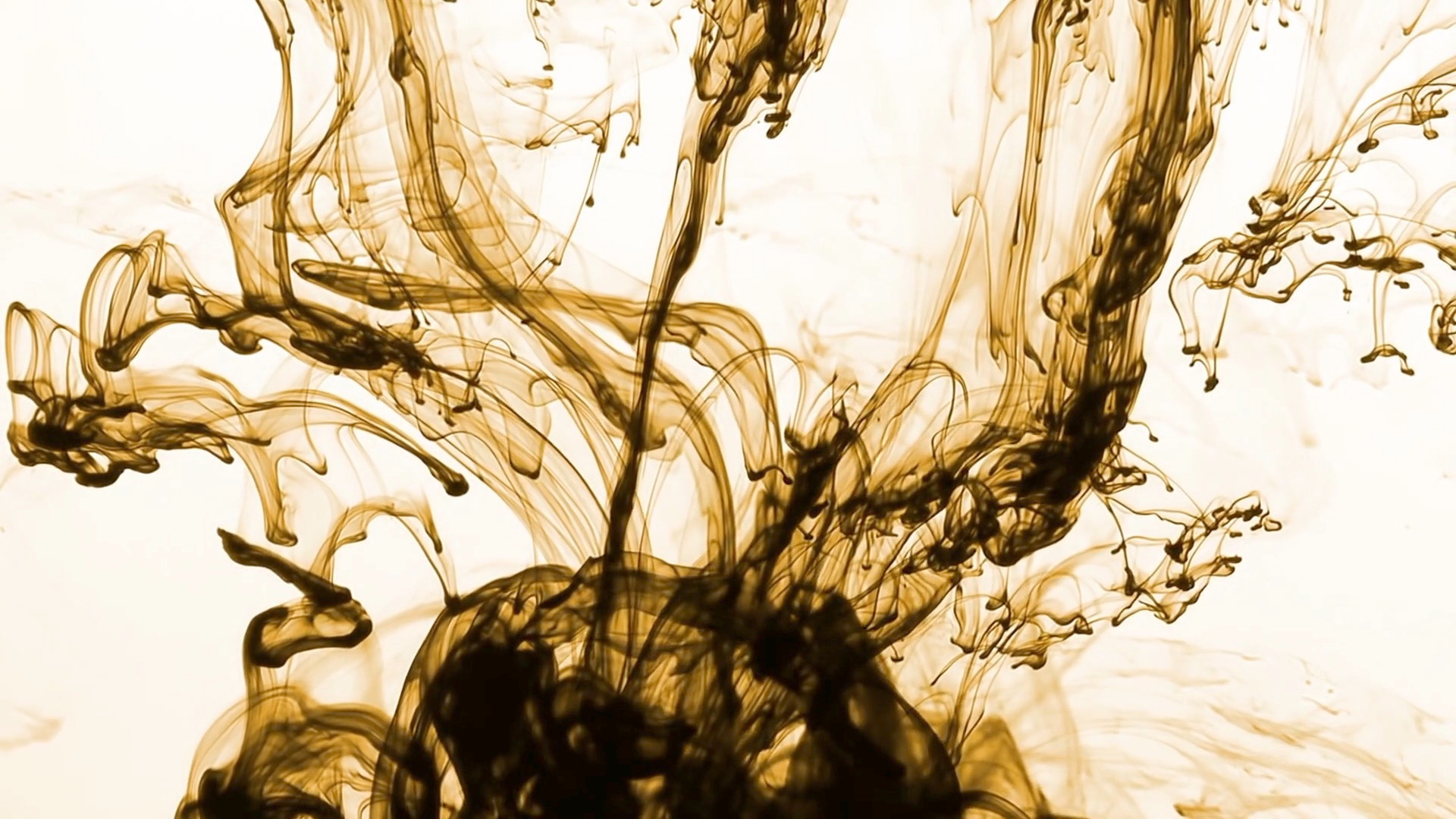Video thumbnail for Researchers unveil method to remove nanoplastics from drinking water
