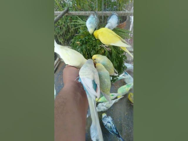 Video thumbnail for 🌅 “Manhã Perfeita em 10 Segundos — 30 Min de Energia Positiva te Esperam ☀️”