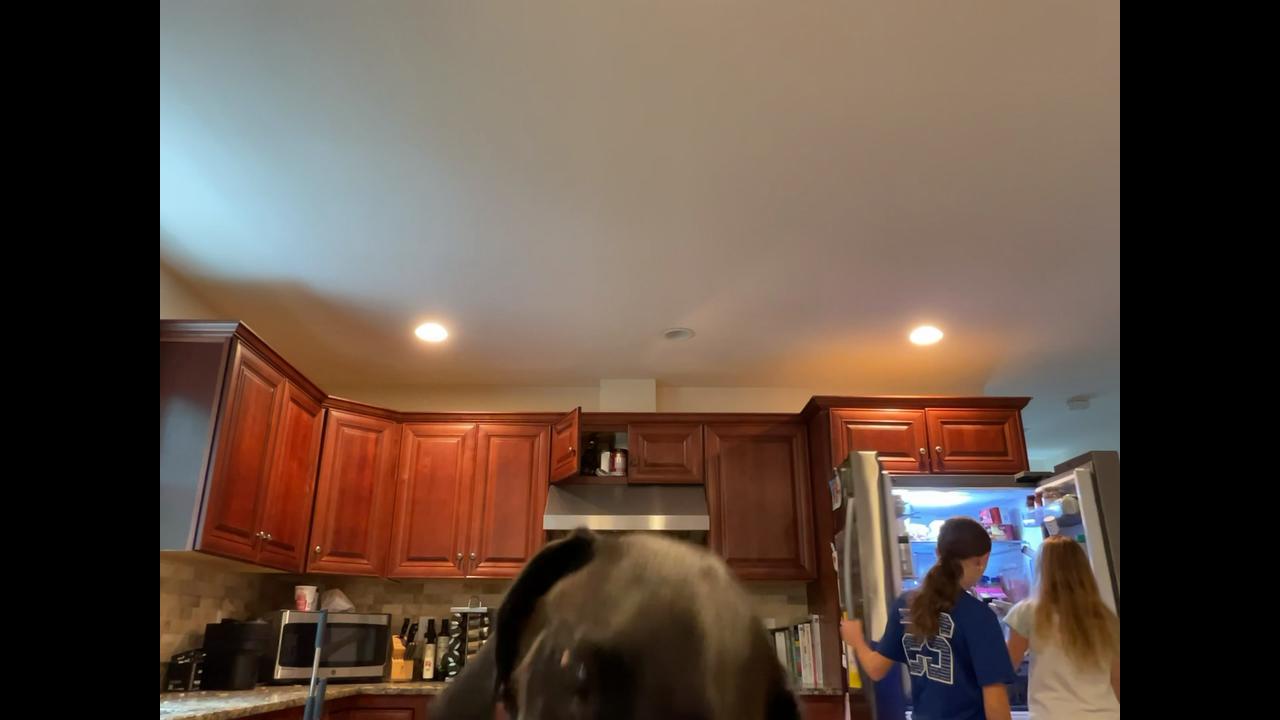 Video thumbnail for Kiki Ate All the Food!