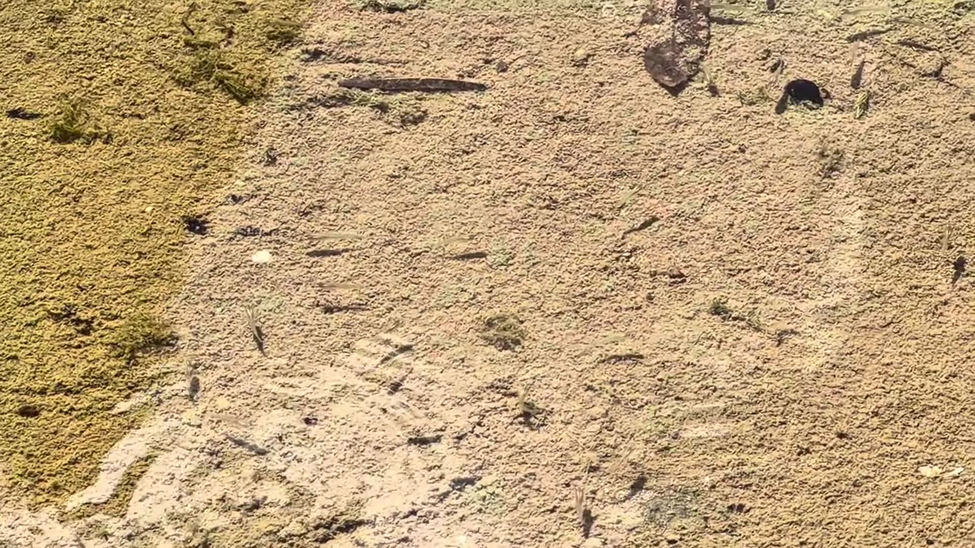 Video thumbnail for The Unsealed Temple: Exploring the Exterior of Poseidon's Fury Islands of Adventure