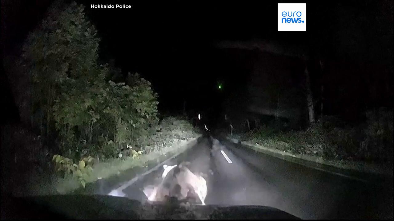Video thumbnail for Video shows bear slamming into car in northern Japan