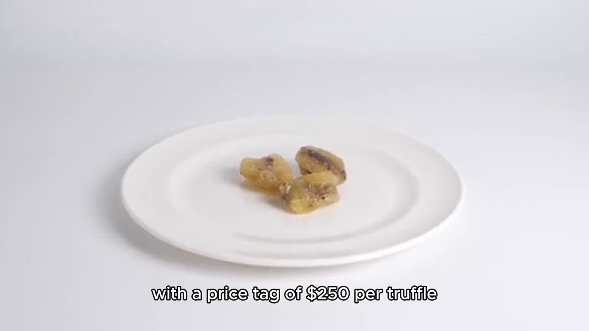 Video thumbnail for la Madeline au truffle