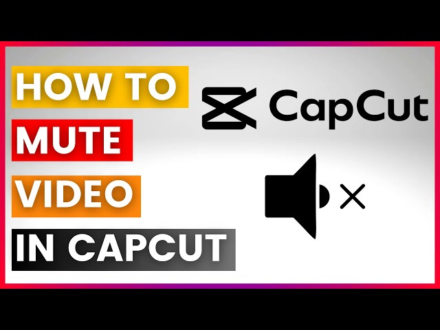 Video thumbnail for How To Mute Video In CapCut (In 2025)