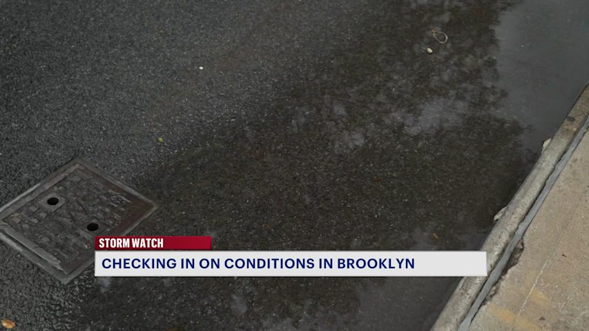 Video thumbnail for Storm Wrangler: Road conditions in Dyker Heights